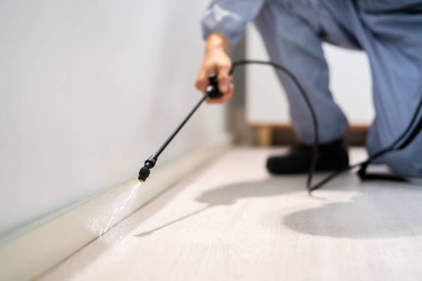 Bed Bug Pre-Treatment Preparation Assessment in Townsend