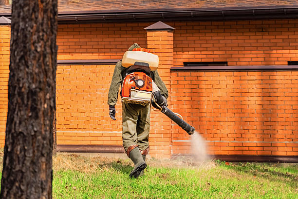 Bed Bug Clearance Verification and Documentation in Townsend